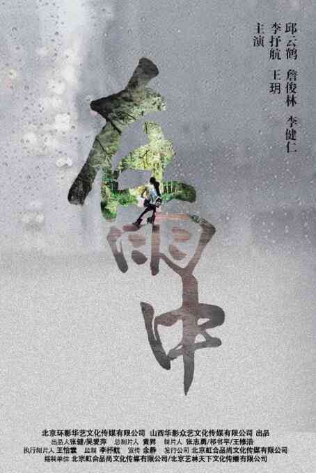 《在雨中》最新免费高清电影无广告在线播放|爱情·中国大陆·2016  第1张