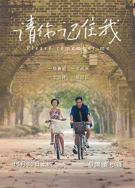 《请你记住我》最新免费高清电影无广告在线播放|剧情·中国大陆·2017  第1张