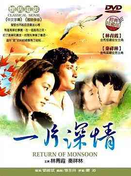 《一片深情》最新免费高清电影无广告在线播放|爱情·中国台湾·1979  第1张