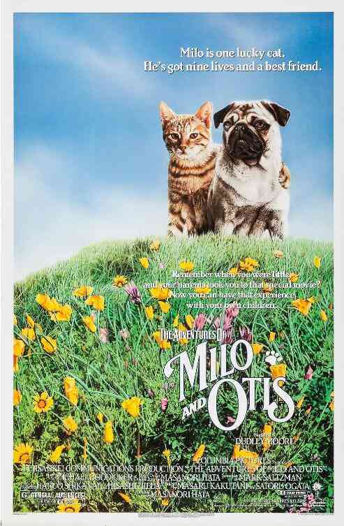 《小猫的故事》最新免费高清电影无广告在线播放|剧情,冒险·日本·1986  第1张