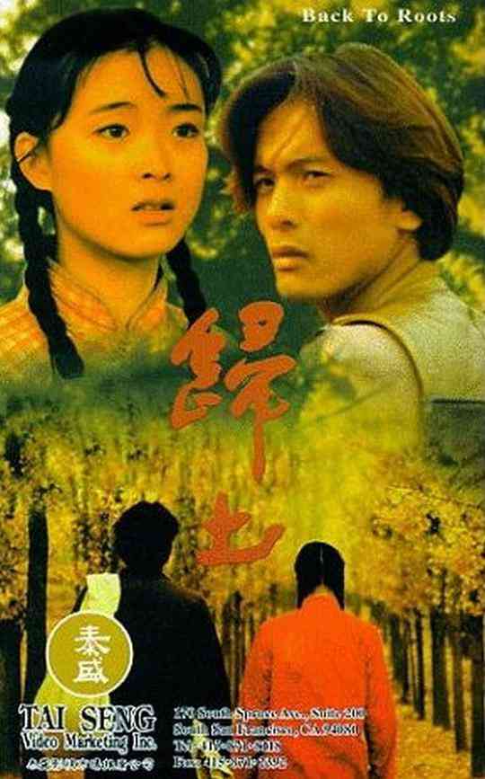 《归土》最新免费高清电影无广告在线播放|中国香港,剧情·中国香港·1995  第1张