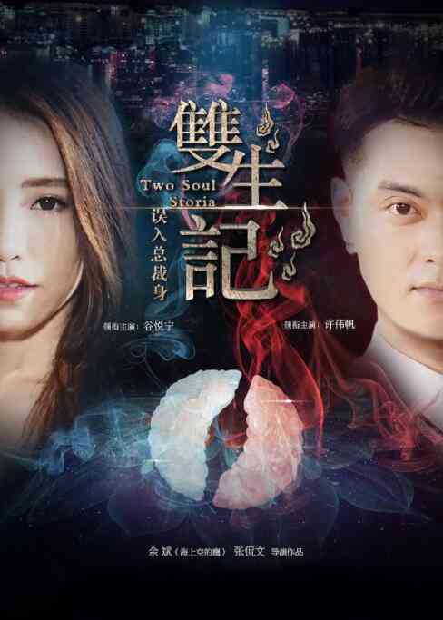 《双生记之误入总裁身》最新免费高清电影无广告在线播放|剧情·中国大陆·2016  第1张