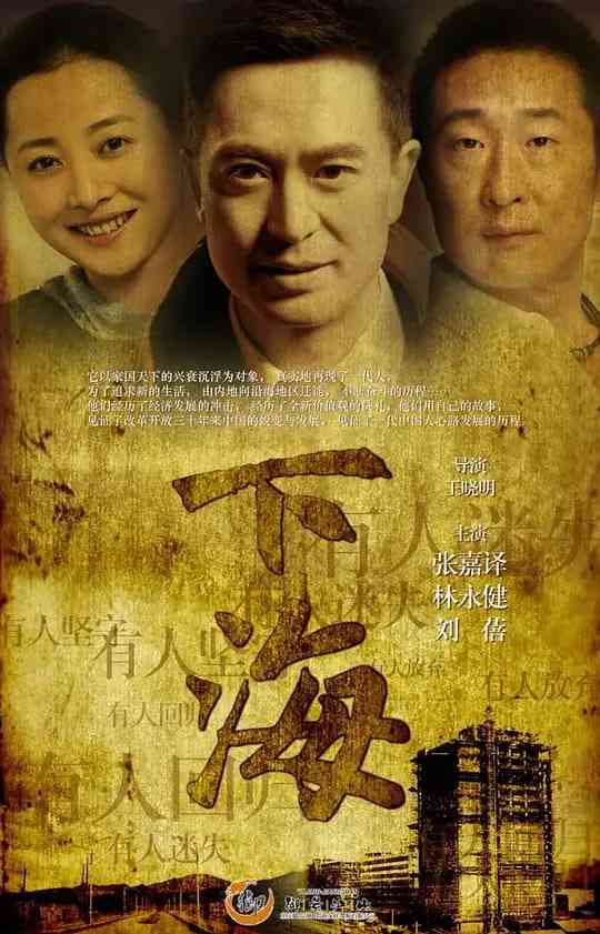 《下海》全集免费高清电视剧无广告在线播放|剧情·中国大陆·2011  第1张