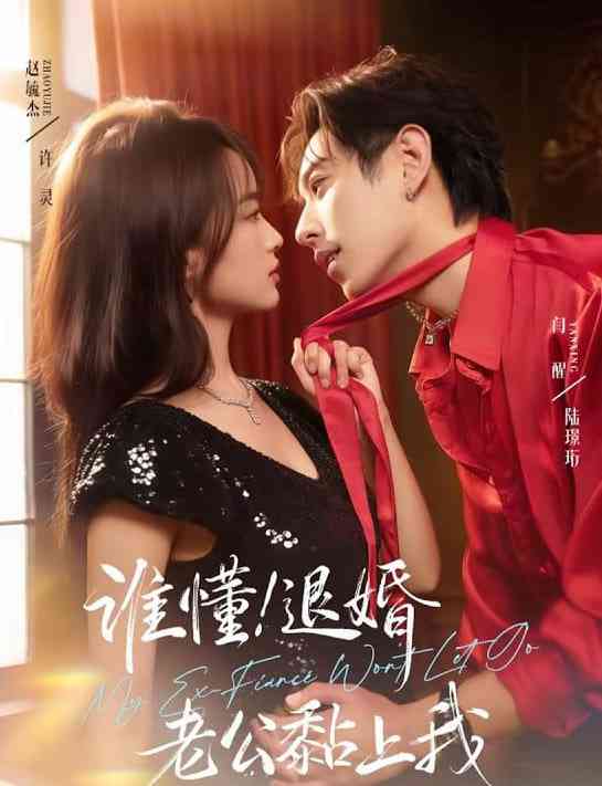 《谁懂！退婚老公黏上我》全集免费高清短剧无广告在线播放|短剧·中国大陆·2026  第1张