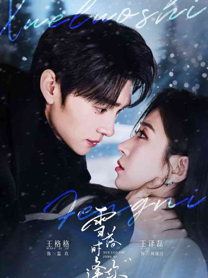 《雪落时逢你》全集免费高清短剧无广告在线播放|短剧·中国大陆·2026  第1张