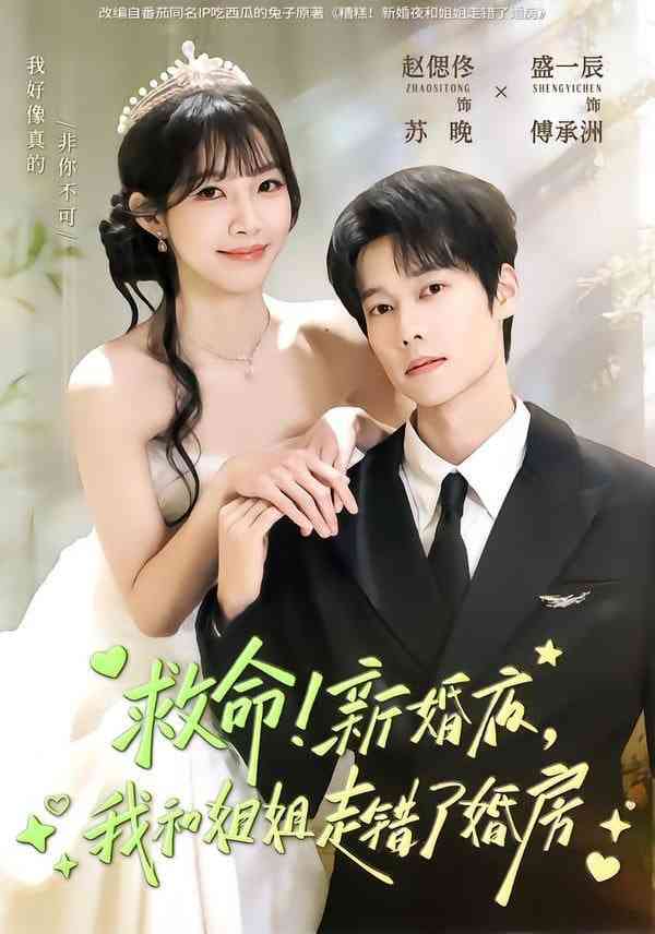 《救命！新婚夜，我和姐姐走错了婚房》全集免费高清短剧无广告在线播放|短剧·中国大陆·2026  第1张