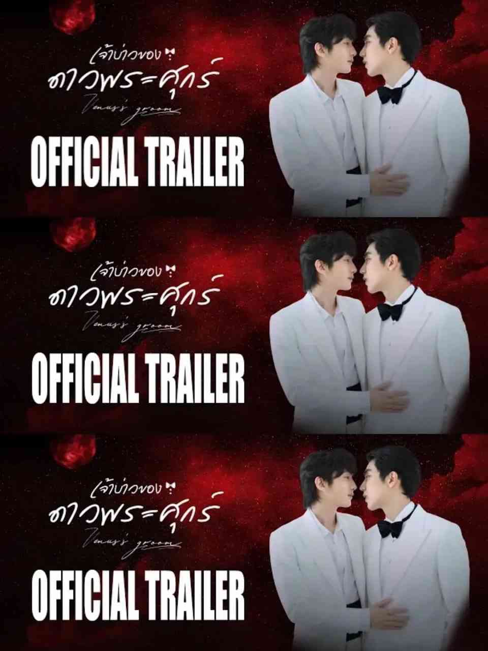 《维纳斯的新郎》全集免费高清电视剧无广告在线播放|短片,同性·泰国·2026