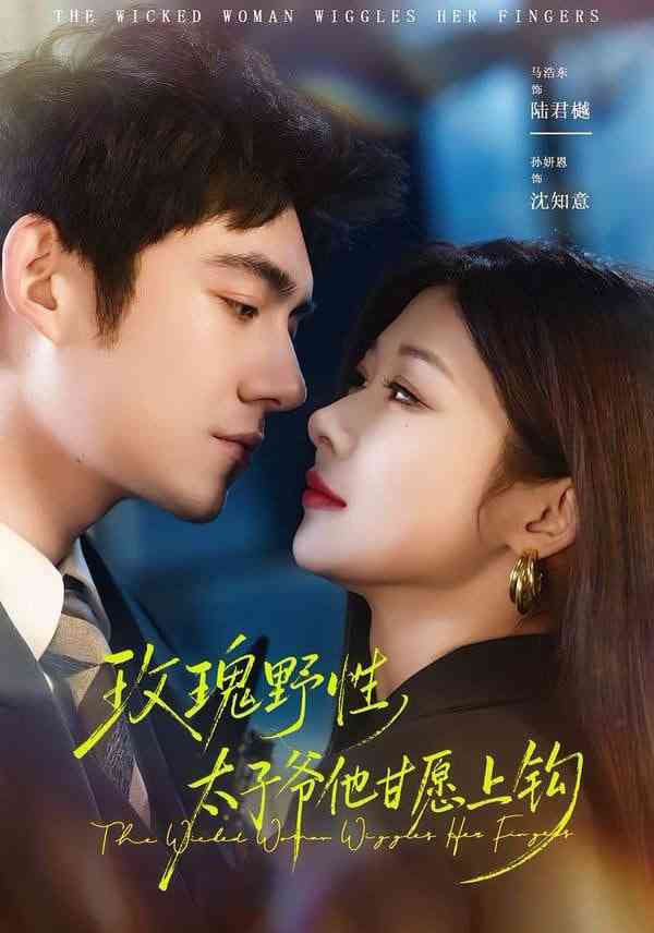 《玫瑰野性，太子爷他甘愿上钩》全集免费高清短剧无广告在线播放|短剧·中国大陆·2026