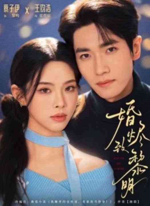 《婚烬致黎明》全集免费高清短剧无广告在线播放|短剧·中国大陆·2026  第1张