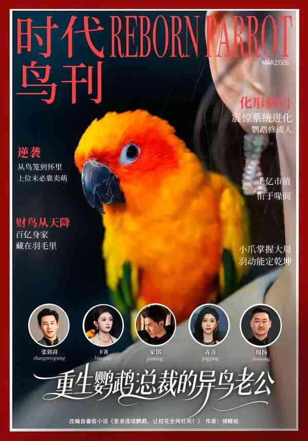 《重生鹦鹉：总裁的异鸟老公》全集免费高清短剧无广告在线播放|短剧·中国大陆·2026  第1张