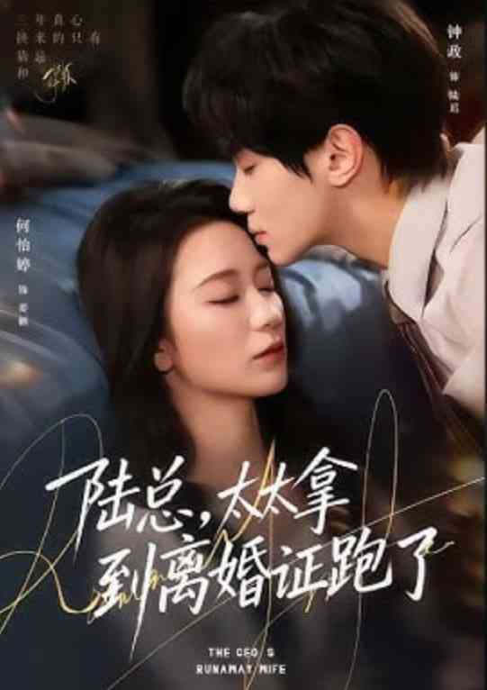 《陆总，太太拿到离婚证跑了》全集免费高清短剧无广告在线播放|短剧·中国大陆·2026  第1张