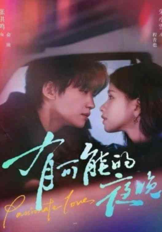 《有可能的夜晚》全集免费高清短剧无广告在线播放|短剧·中国大陆·2026  第1张