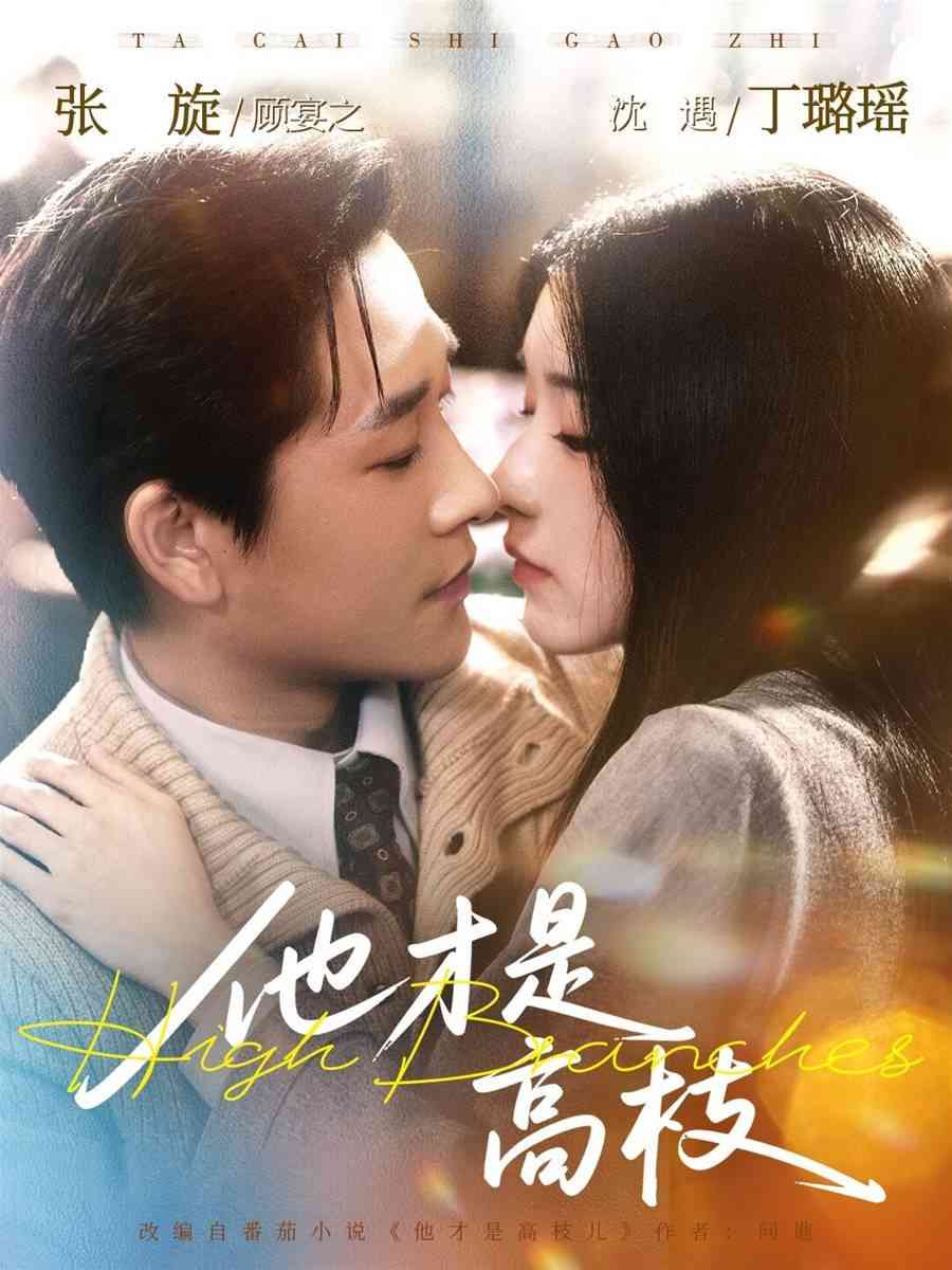 《他才是高枝》全集免费高清短剧无广告在线播放|短剧·中国大陆·2026  第1张