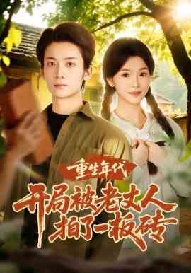 《重生年代开局被老丈人拍了一板砖》全集免费高清短剧无广告在线播放|短剧·中国大陆·2026  第1张