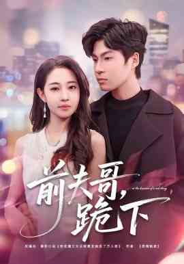 《前夫哥，跪下》全集免费高清短剧无广告在线播放|短剧·中国大陆·2026  第1张