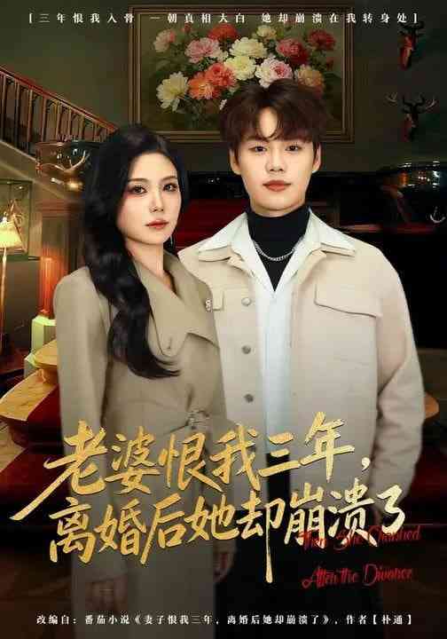 《老婆恨我三年，离婚后她却崩溃了》全集免费高清短剧无广告在线播放|短剧·中国大陆·2026  第1张