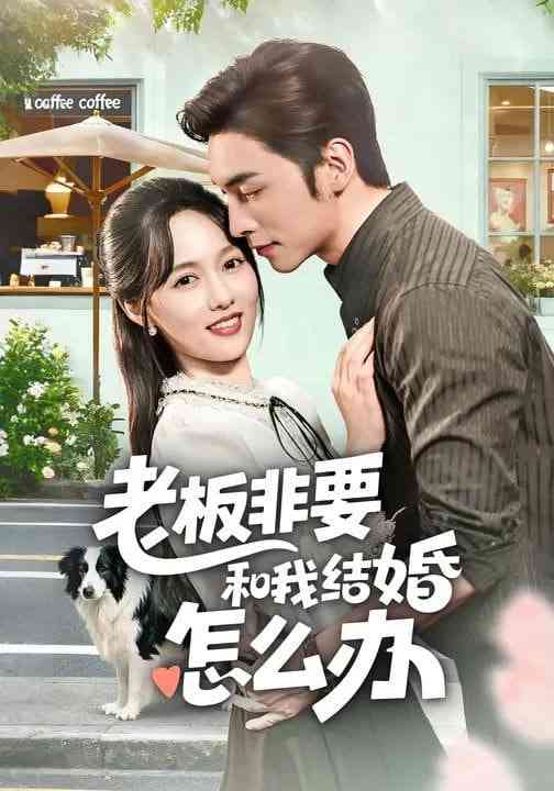 《老板非要和我结婚怎么办》全集免费高清短剧无广告在线播放|短剧·中国大陆·2026  第1张