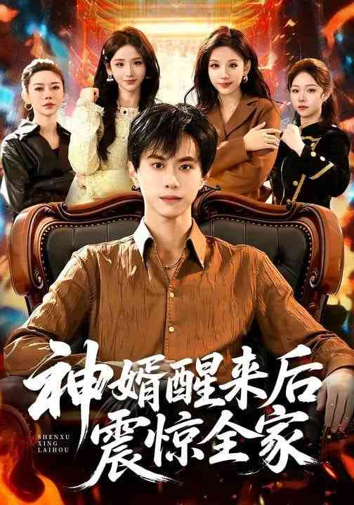 《神婿醒来后震惊全家》全集免费高清短剧无广告在线播放|短剧·中国大陆·2026  第1张