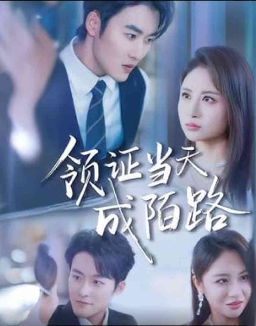 《领证当天成陌路》全集免费高清短剧无广告在线播放|短剧·中国大陆·2026  第1张