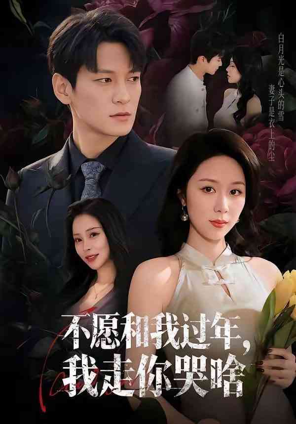 《不愿和我过年，我走你哭啥》全集免费高清短剧无广告在线播放|短剧·中国大陆·2026  第1张