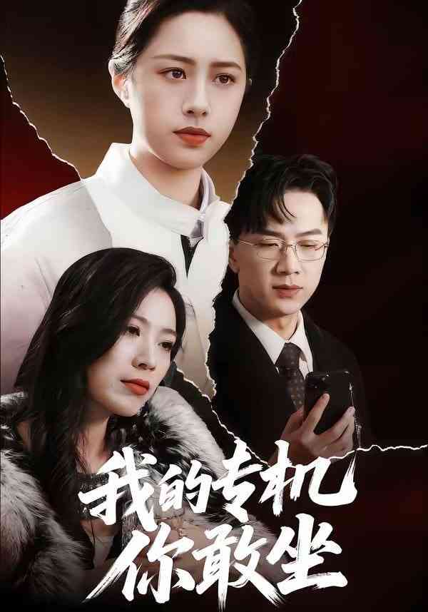 《我的专机你敢坐》全集免费高清短剧无广告在线播放|短剧·中国大陆·2026  第1张