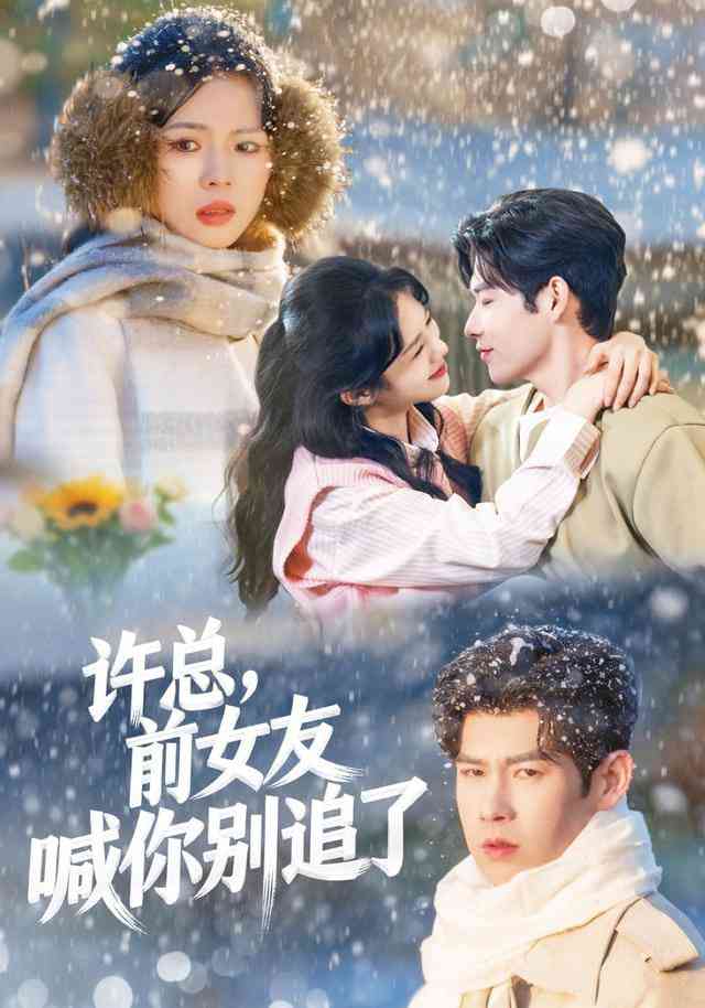 《许总，前女友喊你别追了》全集免费高清短剧无广告在线播放|短剧·中国大陆·2026  第1张