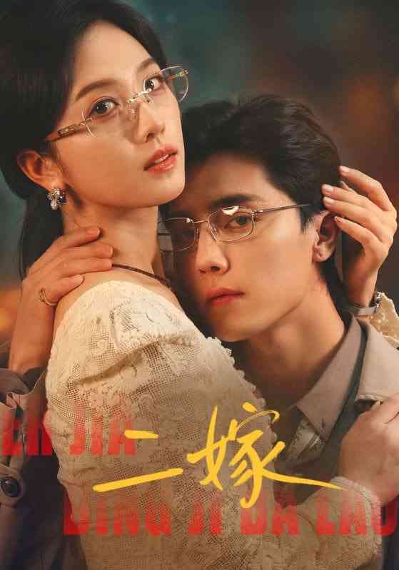 《二嫁》全集免费高清短剧无广告在线播放|短剧·中国大陆·2026  第1张