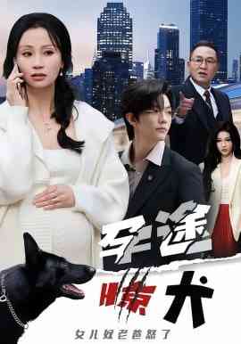 《孕途惊犬，女儿奴老爸怒了》全集免费高清短剧无广告在线播放|短剧·中国大陆·2026  第1张
