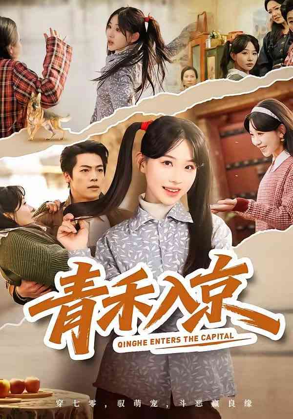 《青禾入京》全集免费高清短剧无广告在线播放|短剧·中国大陆·2026  第1张