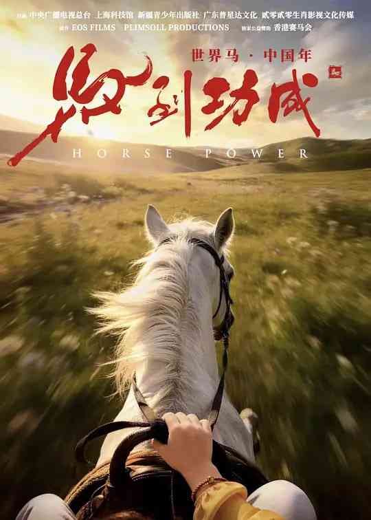 《马到功成》最新免费高清电影无广告在线播放|纪录片·中国大陆·2026